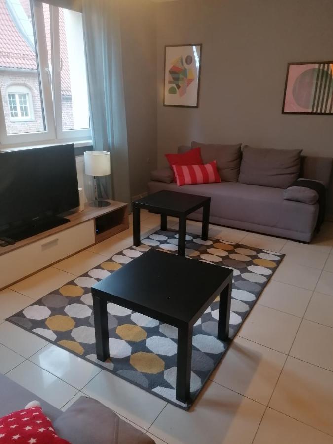 Apartment Szczytna No'10 Torun